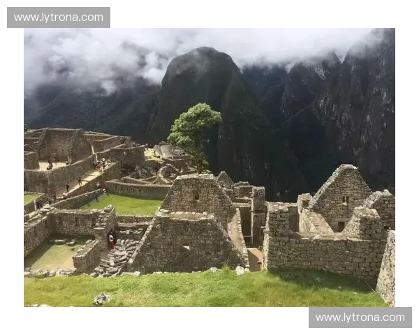 探秘开云官方地址：踏入奢华世界的最佳通道